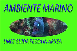 AMBIENTE MARINO 01