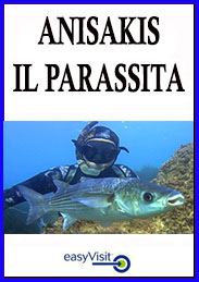 BASE ANISAKIS