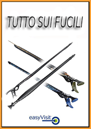 BASE TUTTO SUI FUCILI