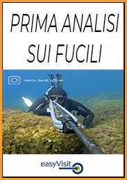 BASE prima analisi sui fucili