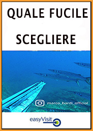 BASE quale fucile scegliere