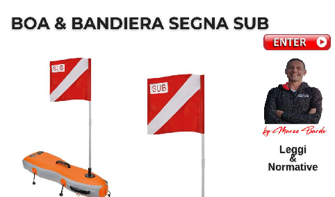 BOTTONE BOA E BANDIERA