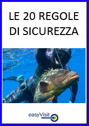BOTTONE LE 20 REGOLE
