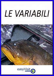 BOTTONE LE VARIABILI