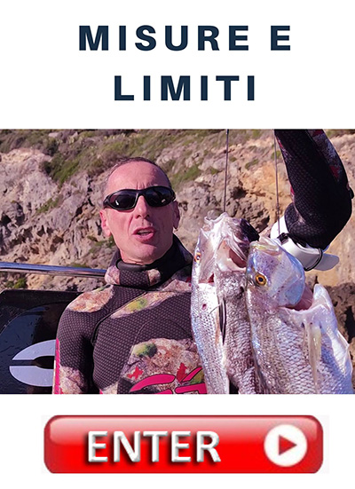 BOTTONE MISURE E LIMITI