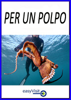 BOTTONE PER UN POLPO