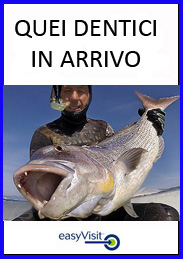 BOTTONE QUEI DENTICI in arrivo