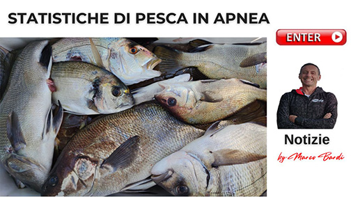 BOTTONE STATISTICHE DI PESCA