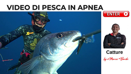 BOTTONE VIDEO DI PESCA IN APNEA