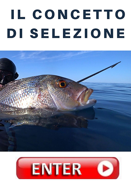BOTTONE concetto di selezione