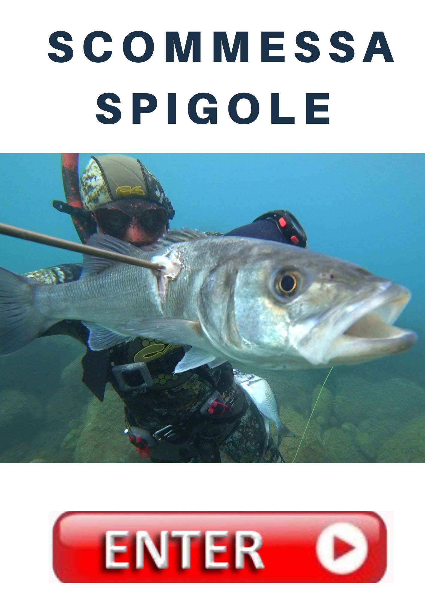 BOTTONE la scommessa delle spigole