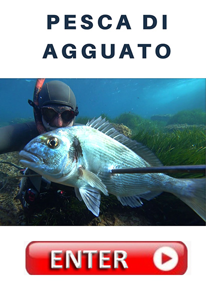 BOTTONE pesca di agguato