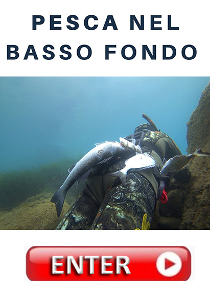 BOTTONE pesca nel bassofondo