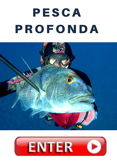 BOTTONE pesca profonda