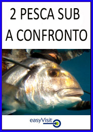 BOTT 2 PESCA SUB A CONFR