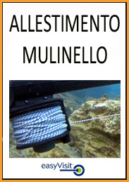 BOTT ALL MULIN