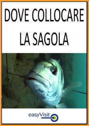BOTT DOVE COLLOC LA SAGOLA
