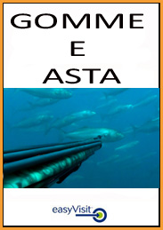 BOTT GOMME E ASTA