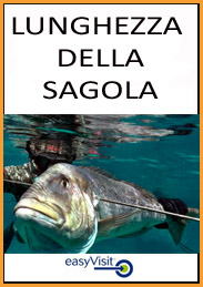 BOTT LUNG SAGOLA