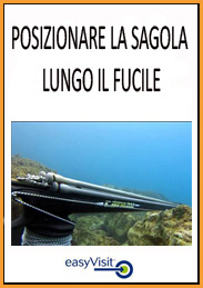 BOTT POSIZIONARE LA SAGOLA