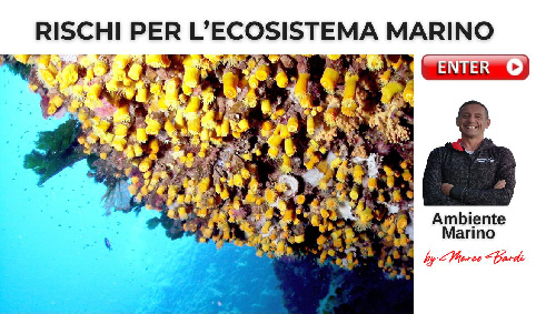 BOTT RISCHI ECOSISTEMA
