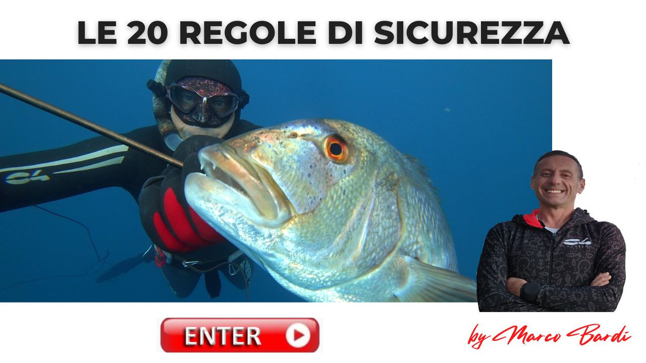 Bottone 20 regole di sicurezza