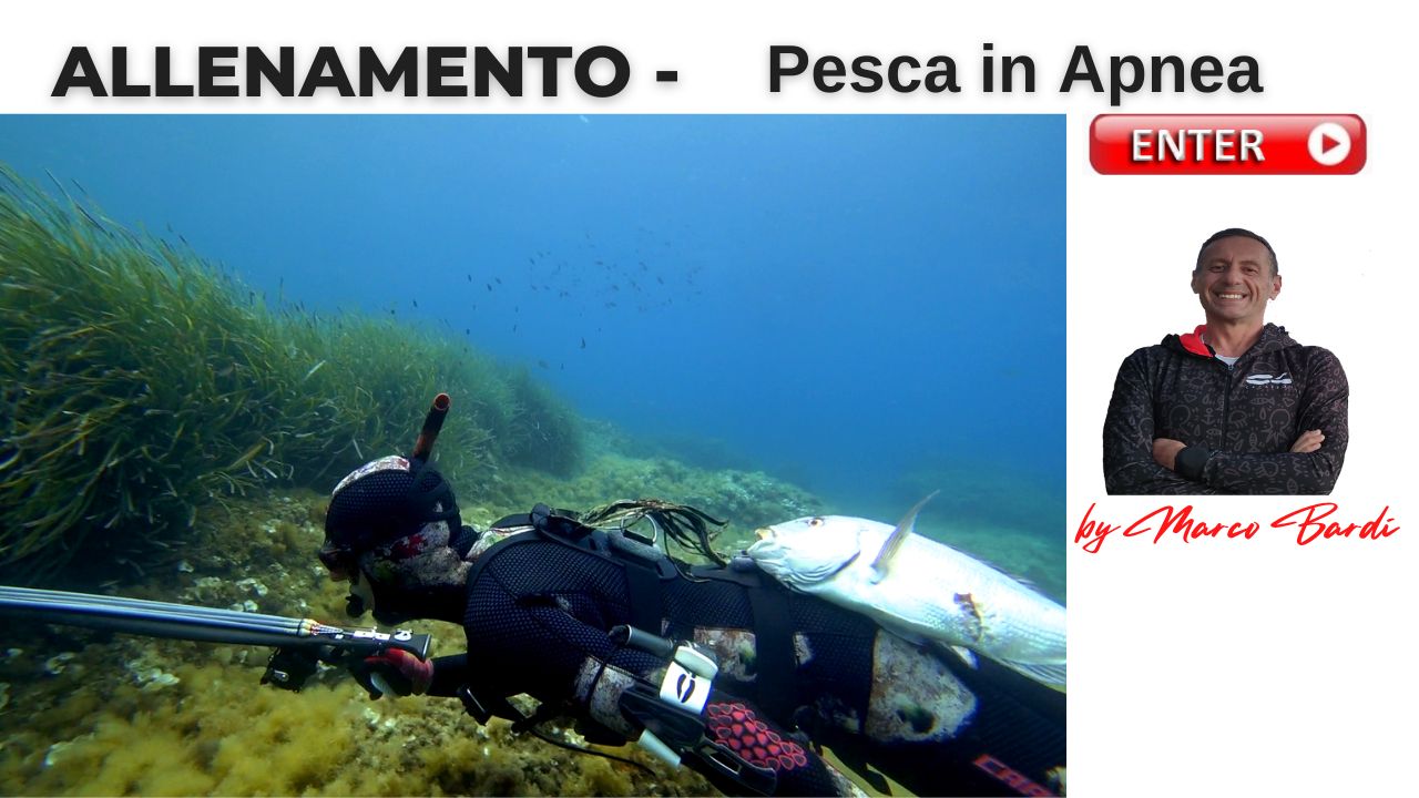 Bottone allenamento
