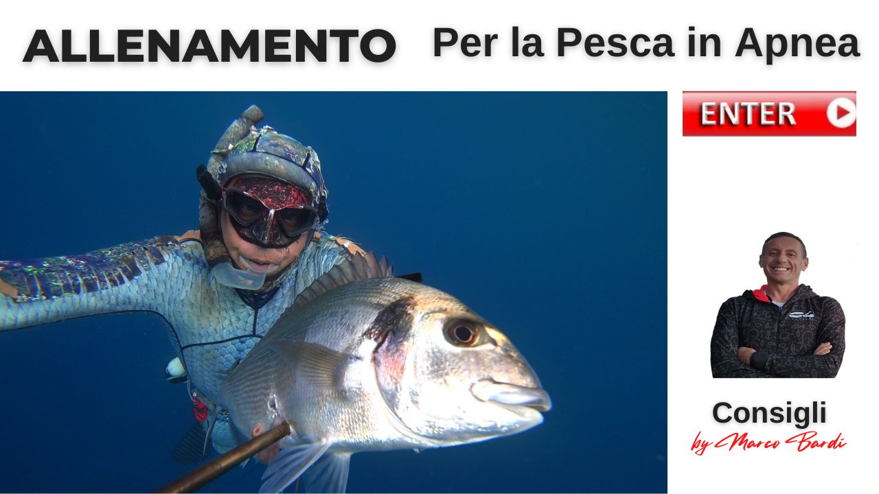 Bottone consigli allenamento