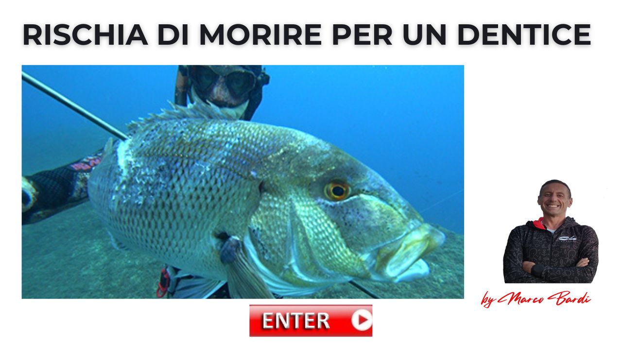 Bottone morire per un dentice