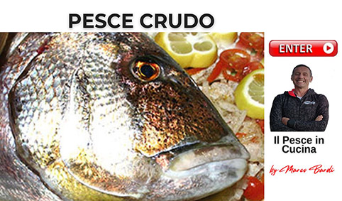 Bottone pesce crudo 02