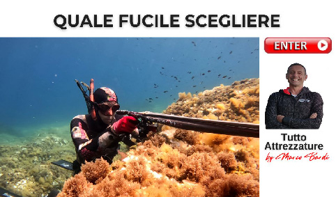 Bottone quale fucile scegliere