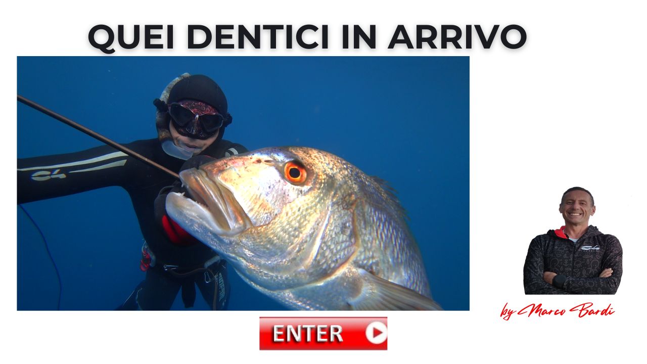 Bottone quei dentici in arrivo