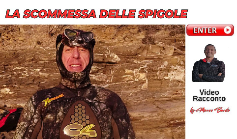 Bottone scommessa spigole 2