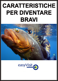 CARATTERISTICHE PER DIVENTARE BRAVI