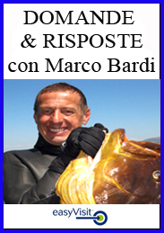 DOMANDE RISPOSTE ok