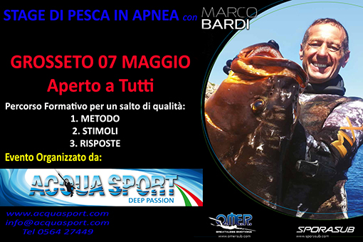 GROSSETO 2017