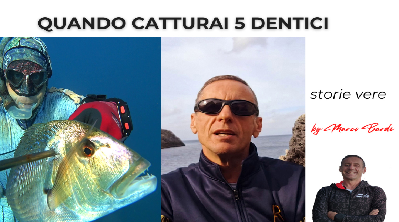 MINIATURA ok