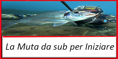 MUTA PER INIZIARE
