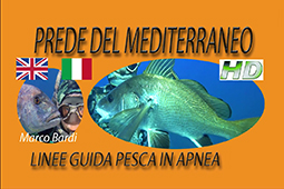 PREDE DEL MEDITERRANEO 01