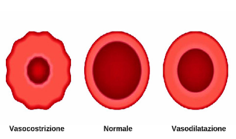 Pressione arteriosa 01