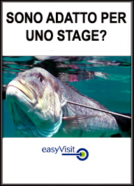 SONO ADATTO PER UNO STAGE