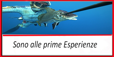 SONO ALLE PRIME ESPERIENZE