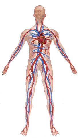 app cardio 1