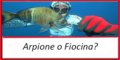 arpione o fiocina
