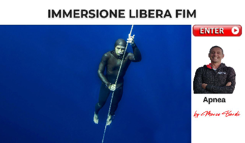 bot imm libera fim