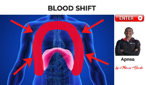 bott blood shift