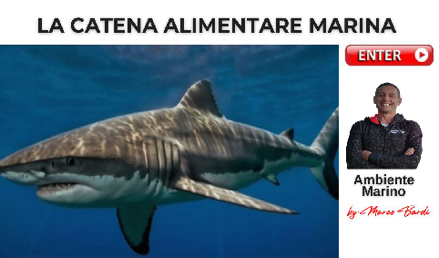 bott catena alimentare