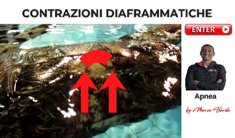 bott contrazioni