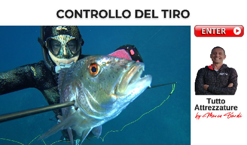 bott controllo tiro
