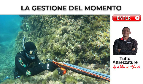 bott gestione momento tiro